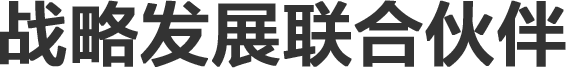 战略发展联合伙伴